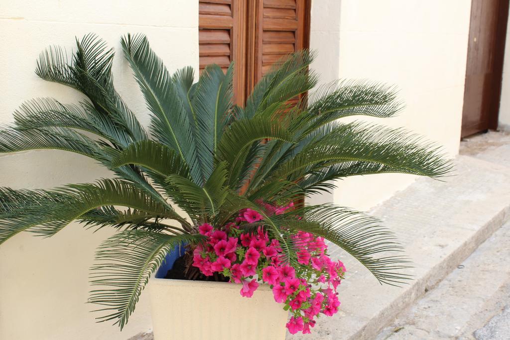 Apartament Palazzo Taormina Castellammare del Golfo Zewnętrze zdjęcie